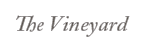 About The Vineyard